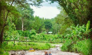 Rafting Songgon Wisata Songgon Banyuwangi