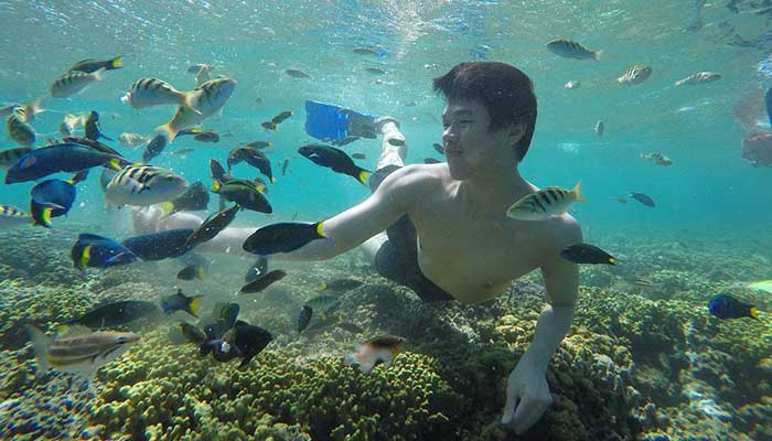 Snorkeling Pulau Menjangan Ikan Paket Wisata Banyuwangi Murah
