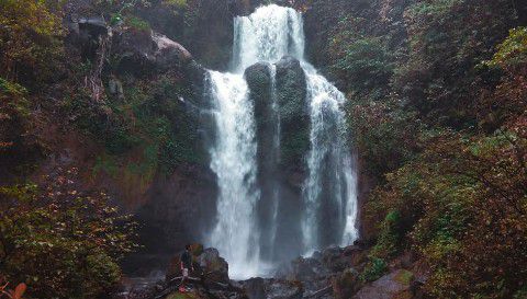 Wisata Banyuwangi Air Terjun Tlepak Bayu Lor