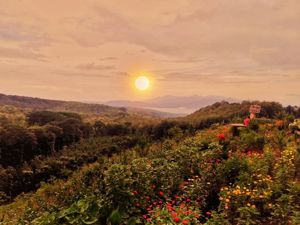 Sunset di Banyuwangi - Puncak Asmoro