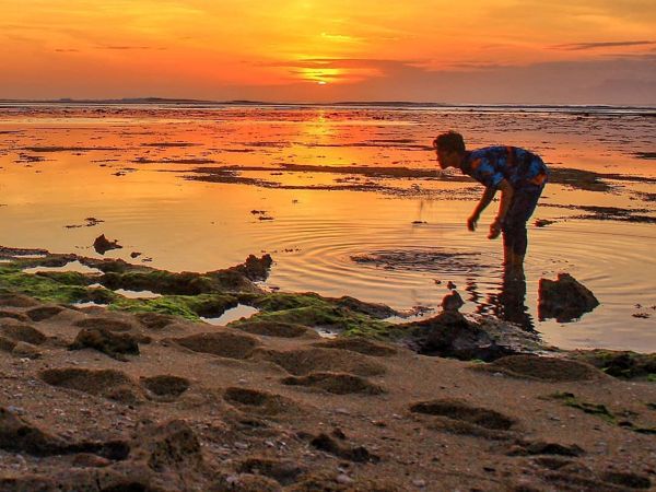 Wisata Banyuwangi Pantai Plengkung
