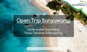 Opentrip-Banyuwangi-Tabuhan-Bangsring Paket Wisata Banyuwangi Murah