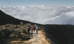 Travel Ijen Banyuwangi