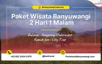 Paket Wisata Banyuwangi 2H1M Baluran Bangsring Kawah Ijen Bluefire