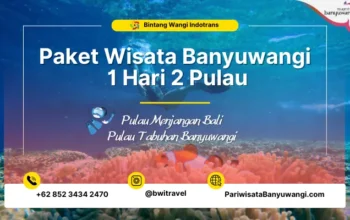 Paket Wisata Banyuwangi Snorkeling Pulau Menjangan Tabuhan